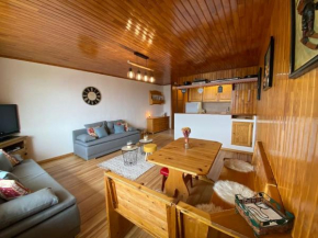 Appartement Cosy et convivial au pied des pistes.